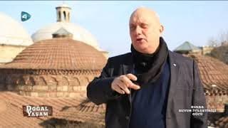 Termal Su Nedir? — Dr. Metin Yurdakoş